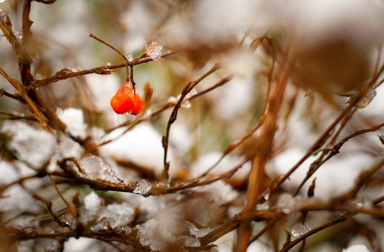 外面下雪了开心说说 2019下雪了心情感慨