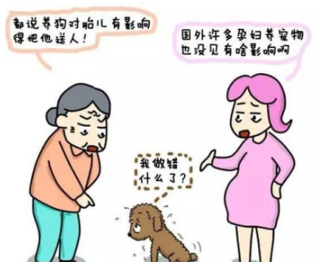 怀孕能不能养猫养狗 孕期养猫养狗注意事项