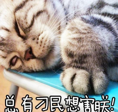 怀孕能不能养猫养狗 孕期养猫养狗注意事项