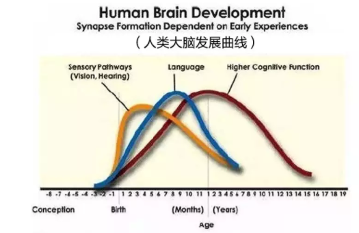 宝宝锻炼思维能力的关键期 锻炼孩子思维能力的游戏