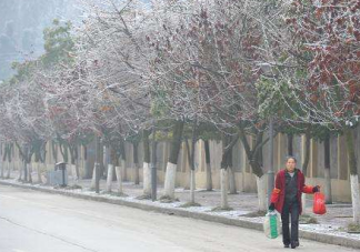 孕妇雨雪天出行摔倒怎么办 雨雪天出行注意事项