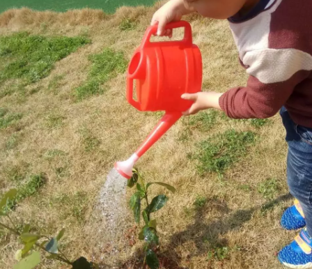 2019幼儿园植树节通讯报道 植树节幼儿园新闻报道内容