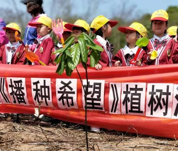 2019幼儿园植树节亲子活动报道 312植树节幼儿园活动报道