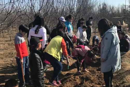 小班幼师植树节活动教案 幼儿园中班植树节活动方案