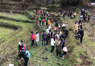 幼儿园植树节通知家长怎么写 幼儿园植树节通知方案2019