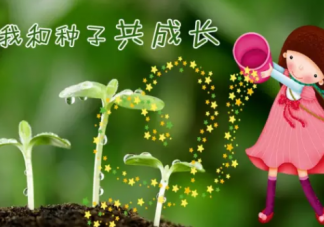 2019幼儿园植树节活动方案 幼儿园植树节活动全过程