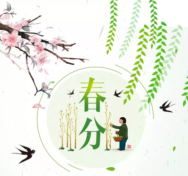 孩子|春分竖蛋幼儿园家庭作业怎么布置 春分竖蛋幼儿园家庭作业布置模板