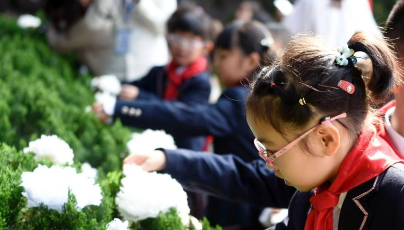 小学清明节活动方案2019 小学清明节主题活动策划方案