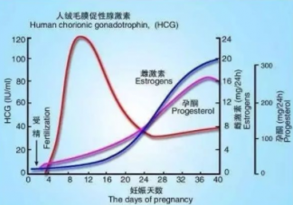 HCG翻倍怎么算 HCG翻倍不好要保胎吗