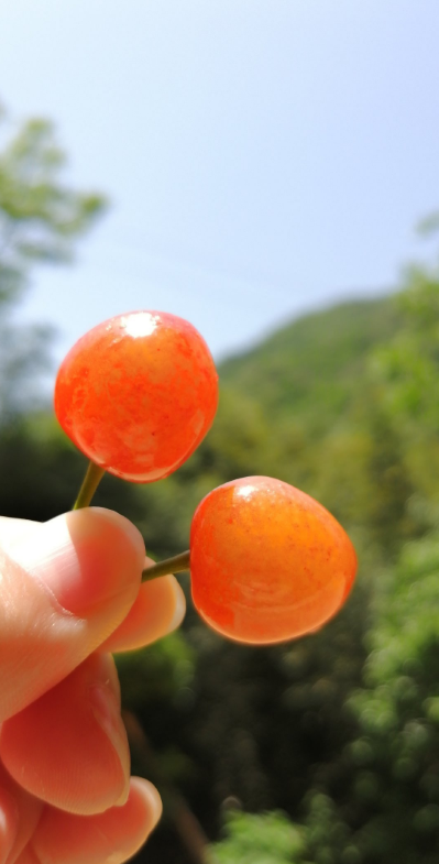 关于夏天很美好的句子 适合在夏天发的说说配图图片