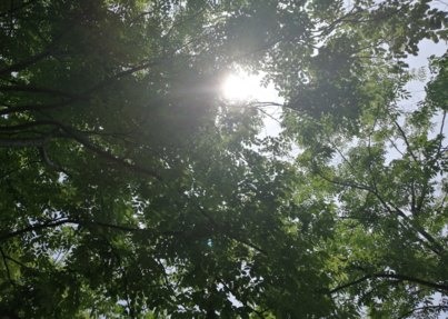 关于夏天很美好的句子 适合在夏天发的说说配图图片