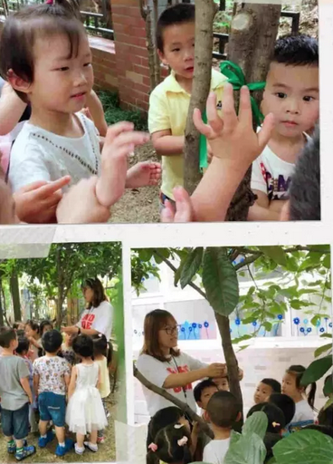 幼儿园|幼儿园芒种活动报道2019 幼儿园芒种活动新闻稿五篇