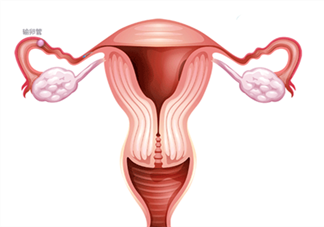 什么是输卵管上举 输卵管上举影响怀孕吗