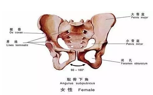 小个子孕妇适合顺产吗 小个子孕妇只能剖腹产吗