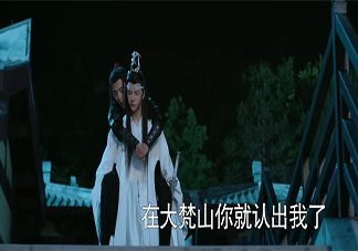 《陈情令》蓝忘机怎么认出魏无羡的 《陈情令》蓝忘机为什么能认出魏无羡