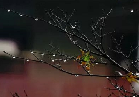 秋雨|关于秋雨的心情说说句子 秋雨带字唯美图片