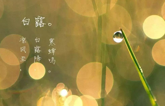 2019白露节气祝福语图片 白露祝福语问候大全