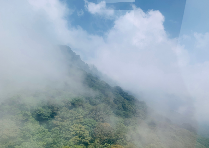 旅游|去梵净山旅游心情句子 梵净山旅游微信说说朋友圈