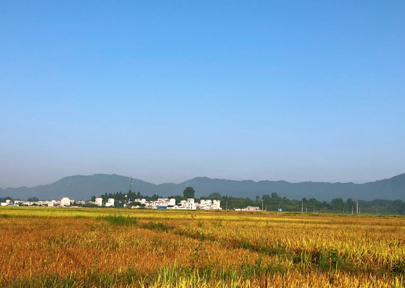 白露|今日白露心情说说 2019今日白露说说朋友圈