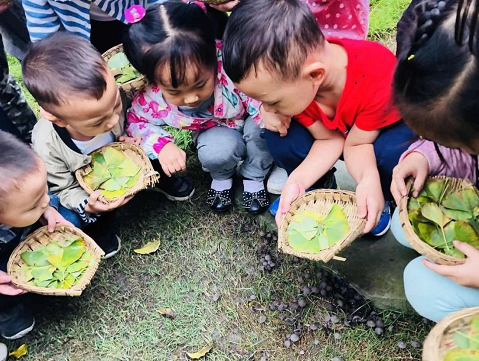 秋分|2019秋分幼儿园活动现场报道 幼儿园秋分新闻稿