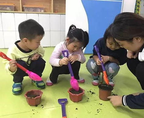 秋分|2019秋分幼儿园活动现场报道 幼儿园秋分新闻稿