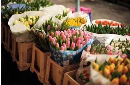 花店不开了花继续开|花店不开了花继续开表达了什么 《伪诗集》里的其他耐人寻味的小诗