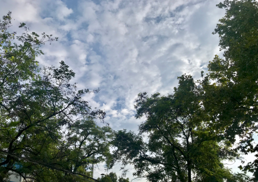 秋天|描写秋天下雨的句子段落 秋天下雨的心情感慨