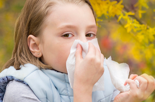 秋季孩子过敏性鼻炎怎么办 过敏性鼻炎