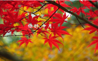 告别九月|2019告别九月迎接十月的个性说说 九月再见十月你好的朋友圈语录