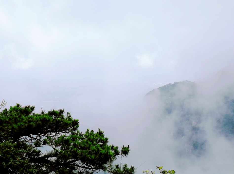 去庐山旅游心情感慨 庐山爬三叠泉说说句子