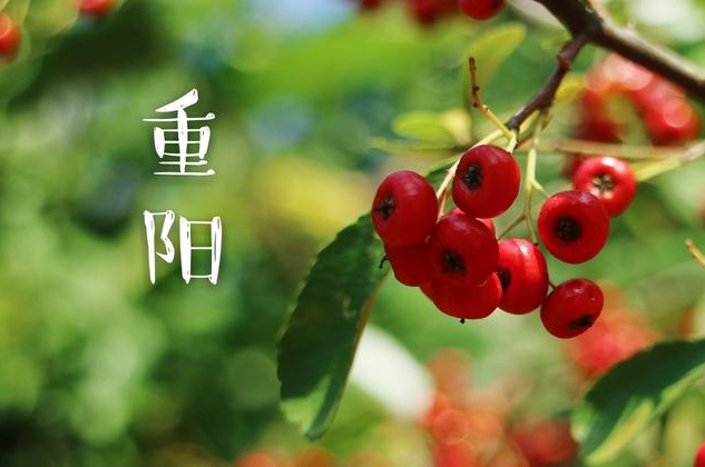 重阳节|2019重阳节又叫什么节 重阳节的8个别称