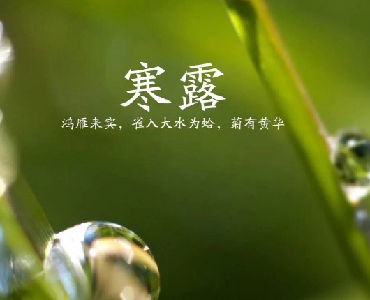 寒露|2019寒露到了的心情说说 寒露节气温馨问候语