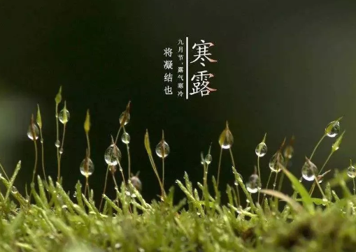 寒露后|寒露后天气冷了吗 寒露后天气还热吗