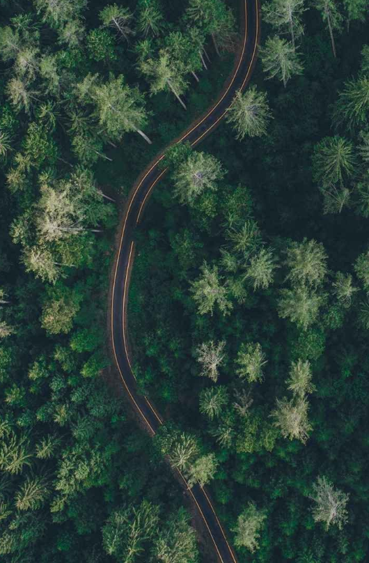 天气|天气变冷关心的句子说说 天气变冷关心问候语感慨