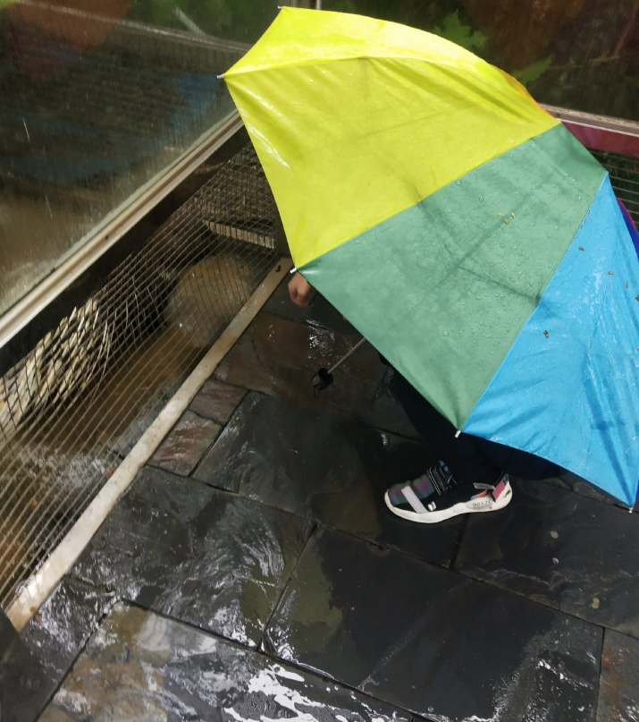 秋天|秋天下雨经典说说句子 关于秋天下雨的朋友圈2019