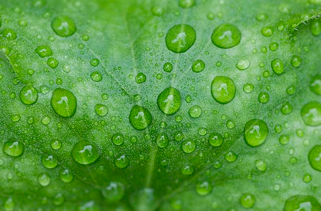 关于下雨的诗句有哪些 下雨的诗句大全