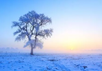 适合下雪天发的朋友圈说说 下雪天的心情短语