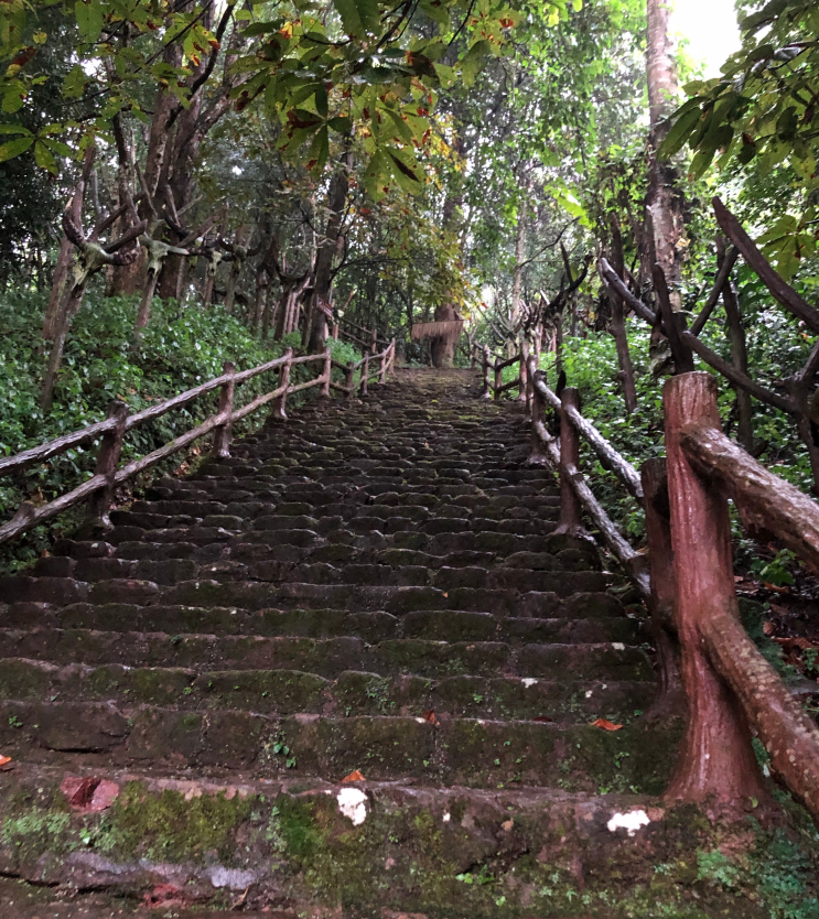 秋雨绵绵的心情说说 秋雨绵绵的心情句子感慨