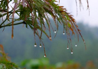 秋天下雨的心情说说 深秋下雨的寂寞伤感说说