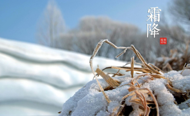 霜降节气|霜降节气怎么发朋友圈 霜降节气发朋友圈说说