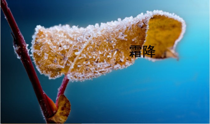 霜降节气|霜降节气早安心语朋友圈 霜降节气早安文艺句子