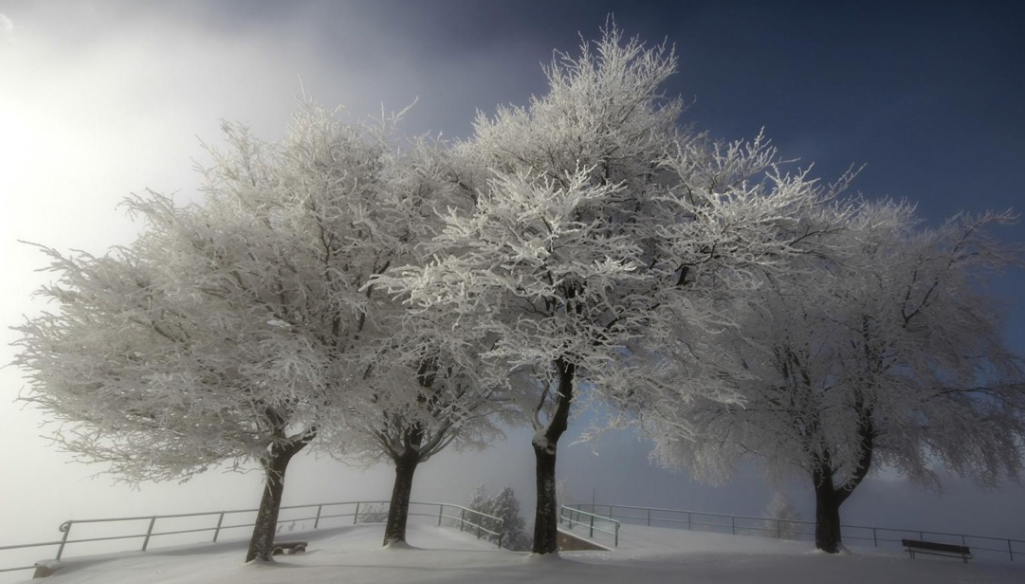 冬天说说|冬天唯美个性说说 描写冬天雪景的说说句子