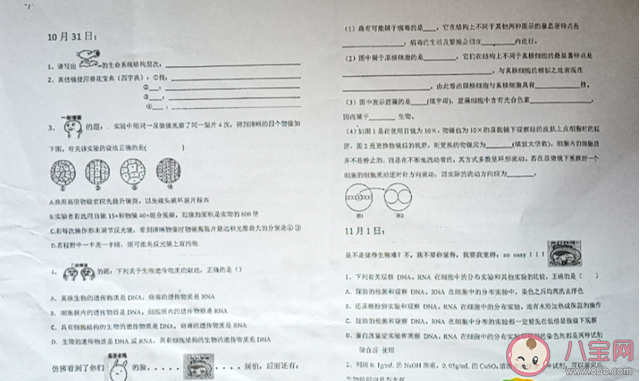 高中|高中现表情包试卷是怎么回事 什么是表情包试卷