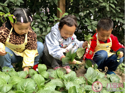 2019幼儿园立冬主题活动报道稿四篇 幼儿园立冬活动报道美篇