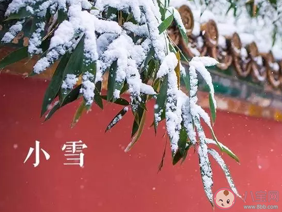 立冬到了|2019小雪朋友圈心情说说句子 小雪文案唯美短句