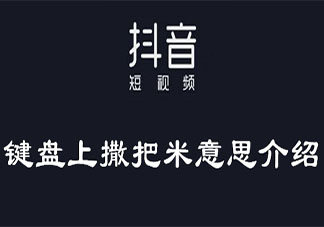 键盘上撒把米是什么梗出处是什么 键盘上撒把米表情包大全