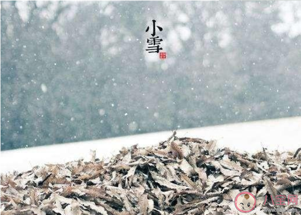 小雪|2019小雪朋友圈说说 小雪发什么说说好