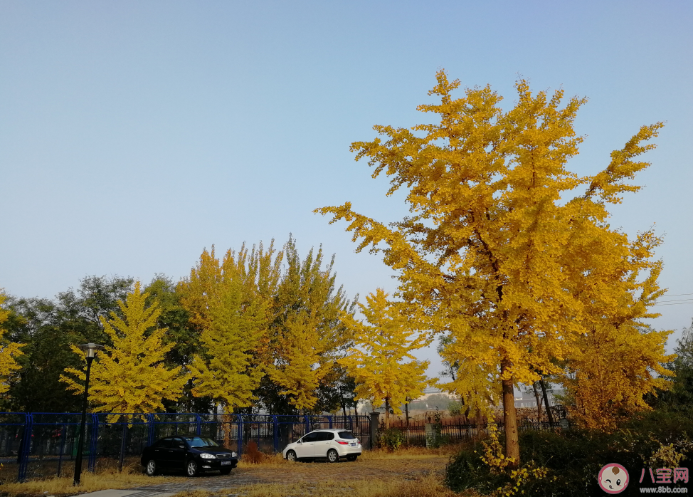 早晨|早晨好冷发朋友圈图片 早晨好冷心情感慨