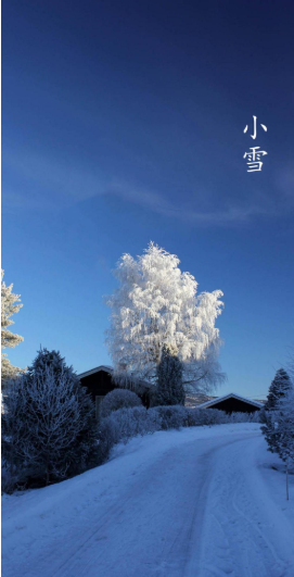 今日小雪|今日小雪朋友圈唯美文案句子 今日小雪带字好看的手机壁纸大全