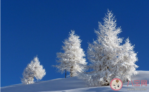 小雪节气今日小雪的创意文案说说 2019小雪发的唯美朋友圈说说语录